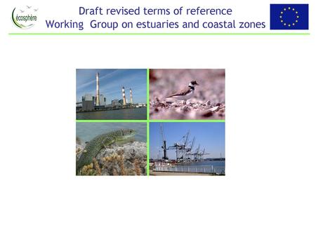 Terms of Reference on the task of elaborating a guidance document on the implementation of the EU nature legislation and the Water Framework Directive.