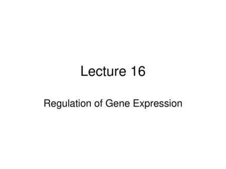 Regulation of Gene Expression