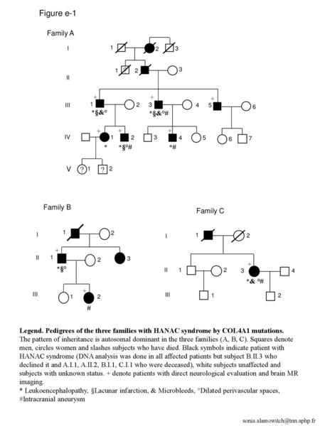 Figure e-1 ? V Family A Family B Family C