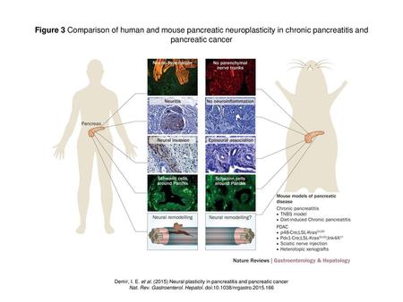 Nat. Rev. Gastroenterol. Hepatol. doi: /nrgastro