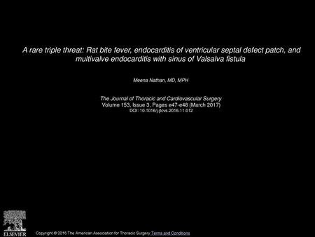 A rare triple threat: Rat bite fever, endocarditis of ventricular septal defect patch, and multivalve endocarditis with sinus of Valsalva fistula  Meena.