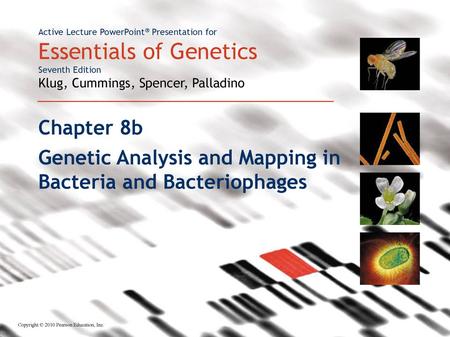 Genetic Analysis and Mapping in Bacteria and Bacteriophages