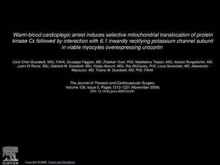 Warm-blood cardioplegic arrest induces selective mitochondrial translocation of protein kinase Cε followed by interaction with 6.1 inwardly rectifying.