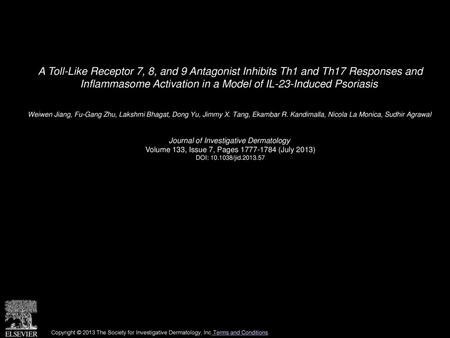 A Toll-Like Receptor 7, 8, and 9 Antagonist Inhibits Th1 and Th17 Responses and Inflammasome Activation in a Model of IL-23-Induced Psoriasis  Weiwen.