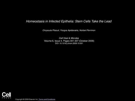 Homeostasis in Infected Epithelia: Stem Cells Take the Lead