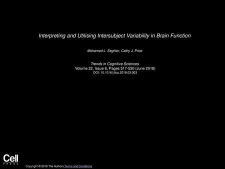 Interpreting and Utilising Intersubject Variability in Brain Function