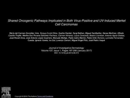 Shared Oncogenic Pathways Implicated in Both Virus-Positive and UV-Induced Merkel Cell Carcinomas  María del Carmen González-Vela, Soraya Curiel-Olmo,