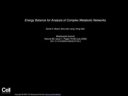 Energy Balance for Analysis of Complex Metabolic Networks