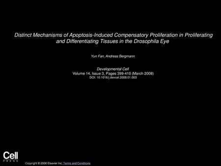 Distinct Mechanisms of Apoptosis-Induced Compensatory Proliferation in Proliferating and Differentiating Tissues in the Drosophila Eye  Yun Fan, Andreas.