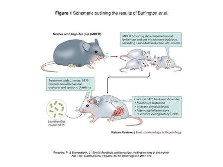 Figure 1 Schematic outlining the results of Buffington et al.