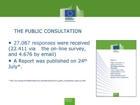 THE PUBLIC CONSULTATION