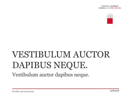 Vestibulum auctor dapibus neque.