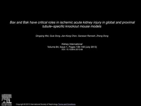 Bax and Bak have critical roles in ischemic acute kidney injury in global and proximal tubule–specific knockout mouse models  Qingqing Wei, Guie Dong,