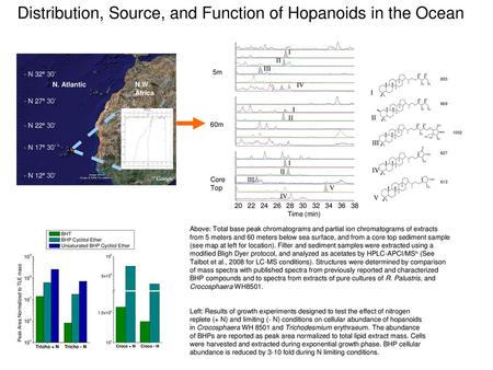 Distribution, Source, and Function of Hopanoids in the Ocean