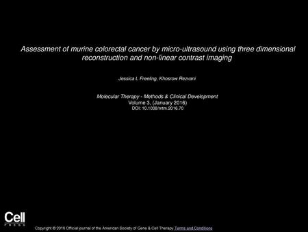 Assessment of murine colorectal cancer by micro-ultrasound using three dimensional reconstruction and non-linear contrast imaging  Jessica L Freeling,