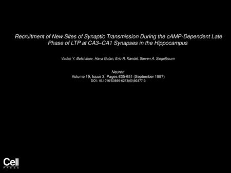 Recruitment of New Sites of Synaptic Transmission During the cAMP-Dependent Late Phase of LTP at CA3–CA1 Synapses in the Hippocampus  Vadim Y. Bolshakov,