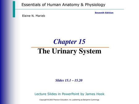 Chapter 15 The Urinary System