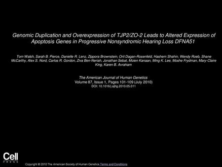 Genomic Duplication and Overexpression of TJP2/ZO-2 Leads to Altered Expression of Apoptosis Genes in Progressive Nonsyndromic Hearing Loss DFNA51  Tom.