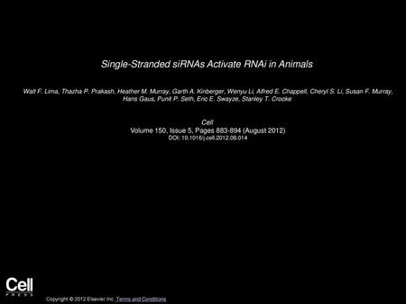 Single-Stranded siRNAs Activate RNAi in Animals