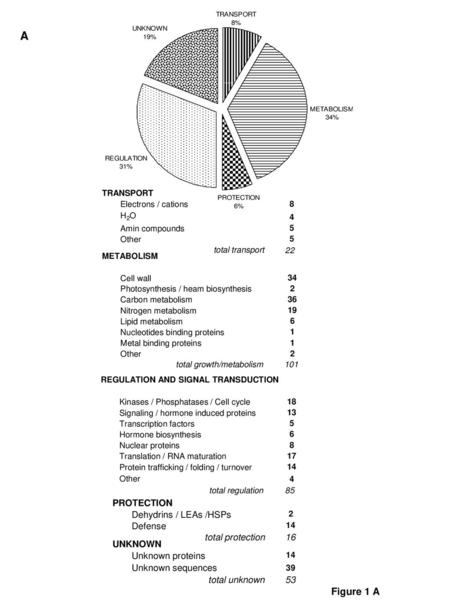 A Figure 1 A PROTECTION Dehydrins / LEAs /HSPs Defense