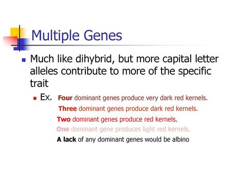 Multiple Genes Much like dihybrid, but more capital letter alleles contribute to more of the specific trait Ex. Four dominant genes produce very dark.