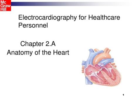 Electrocardiography for Healthcare Personnel