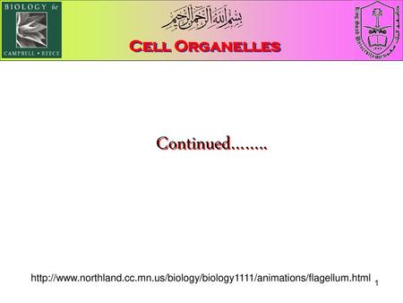 Continued…….. Cell Organelles