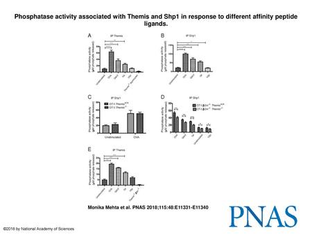 Phosphatase activity associated with Themis and Shp1 in response to different affinity peptide ligands. Phosphatase activity associated with Themis and.