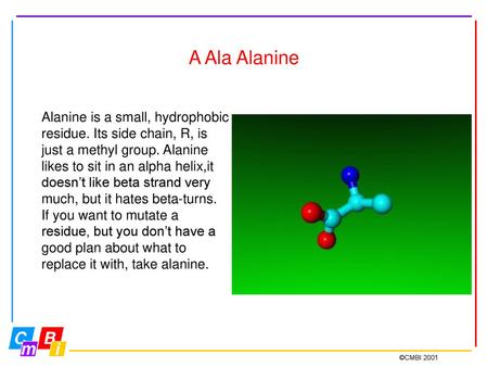 A Ala Alanine Alanine is a small, hydrophobic