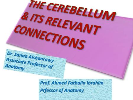 THE CEREBELLUM & ITS RELEVANT CONNECTIONS