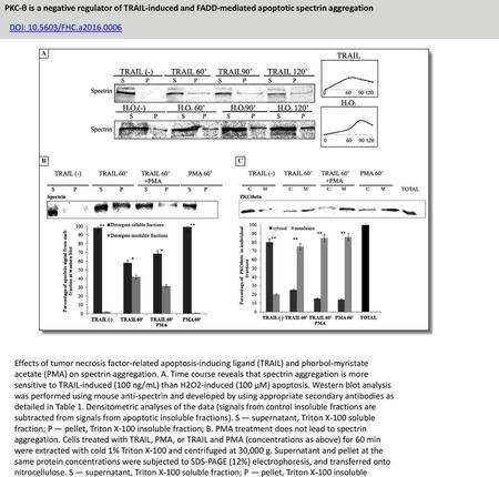 PKC-θ is a negative regulator of TRAIL-induced and FADD-mediated apoptotic spectrin aggregation DOI: 10.5603/FHC.a2016.0006 Effects of tumor necrosis factor-related.