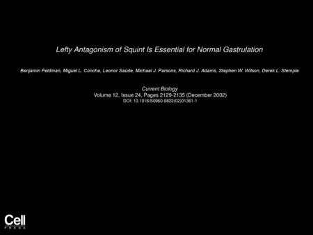 Lefty Antagonism of Squint Is Essential for Normal Gastrulation