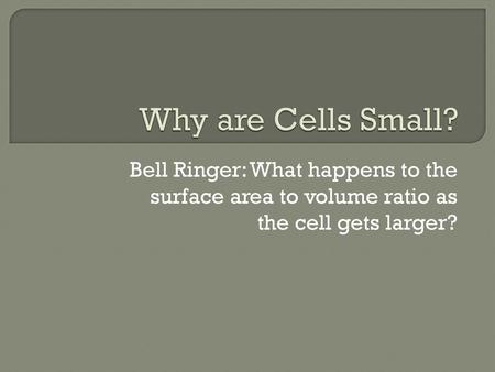 Why are Cells Small? Bell Ringer: What happens to the surface area to volume ratio as the cell gets larger?