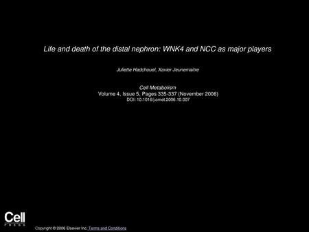 Life and death of the distal nephron: WNK4 and NCC as major players