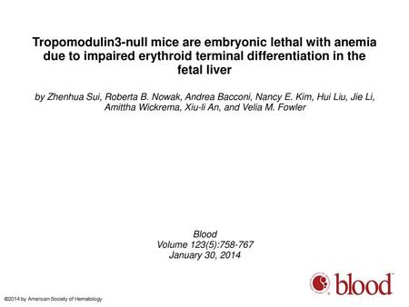 Tropomodulin3-null mice are embryonic lethal with anemia due to impaired erythroid terminal differentiation in the fetal liver by Zhenhua Sui, Roberta.