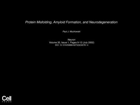 Protein Misfolding, Amyloid Formation, and Neurodegeneration