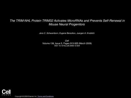 The TRIM-NHL Protein TRIM32 Activates MicroRNAs and Prevents Self-Renewal in Mouse Neural Progenitors  Jens C. Schwamborn, Eugene Berezikov, Juergen A.