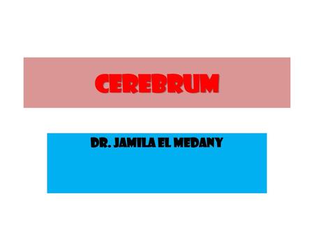 CEREBRUM Dr. Jamila EL Medany.