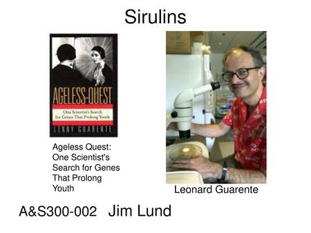 Sirulins A&S Jim Lund Leonard Guarente