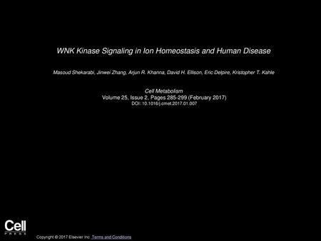 WNK Kinase Signaling in Ion Homeostasis and Human Disease