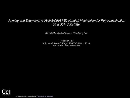 Kenneth Wu, Jordan Kovacev, Zhen-Qiang Pan  Molecular Cell 