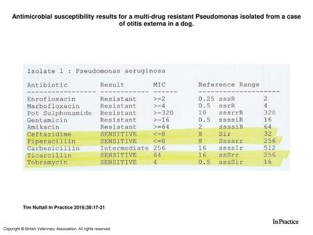 Antimicrobial susceptibility results for a multi-drug resistant Pseudomonas isolated from a case of otitis externa in a dog. Antimicrobial susceptibility.