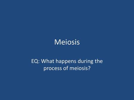 EQ: What happens during the process of meiosis?