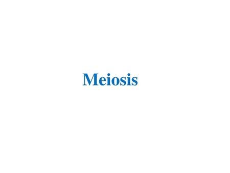 Meiosis.