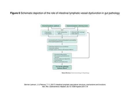 Nat. Rev. Gastroenterol. Hepatol. doi: /nrgastro