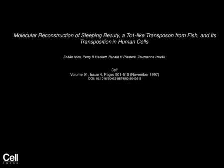 Molecular Reconstruction of Sleeping Beauty, a Tc1-like Transposon from Fish, and Its Transposition in Human Cells  Zoltán Ivics, Perry B Hackett, Ronald.