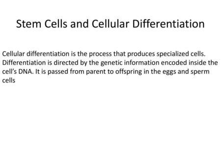 Stem Cells and Cellular Differentiation