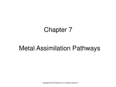 Metal Assimilation Pathways