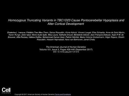 Homozygous Truncating Variants in TBC1D23 Cause Pontocerebellar Hypoplasia and Alter Cortical Development  Ekaterina L. Ivanova, Frédéric Tran Mau-Them,