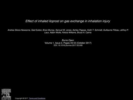 Effect of inhaled iloprost on gas exchange in inhalation injury